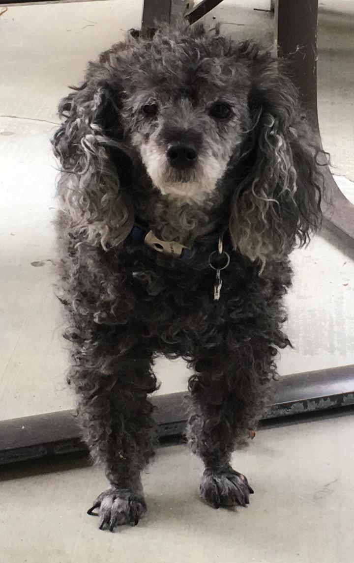 Leo